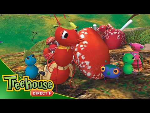 Miss Spider | Fungus Among Us / Ground Bound - Ep.27