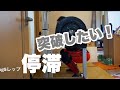【40歳から筋トレ、脚の日】スクワット停滞突破の為やり直します!