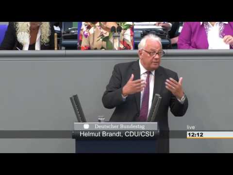 Helmut Brandt: Änderung des Art. 21 des Grundgesetzes (Parteien) [Bundestag 19.05.2017]