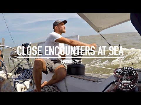 Close Encounters At Sea - Ep. 79 RAN Sailing