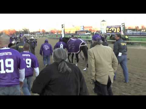 Zenyatta's 2010 Breeders Cup Saturday