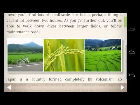 Human Japanese Lite Video