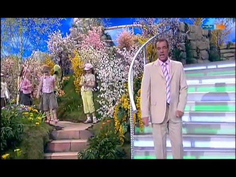 Bunte Tulpen - Hein Simons