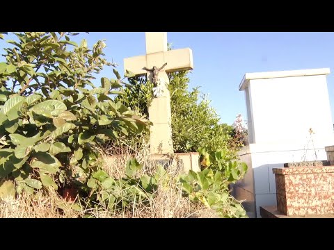Prefeitura de Rio Claro procura donos de sepulturas abandonadas no Cemitério Municipal