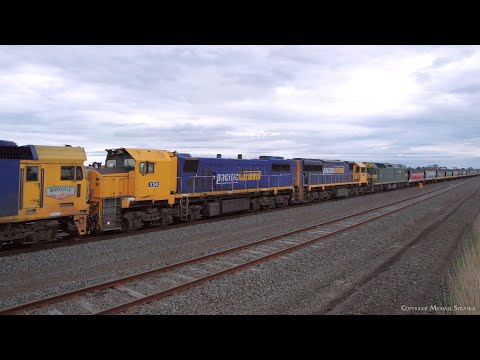7732V Pacific National Grain Train With BL33 X50 XR557 G520 (5/6/2023) - PoathTV Australian Railways