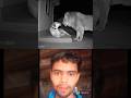 Yogesh Bhai Vs Lion King
