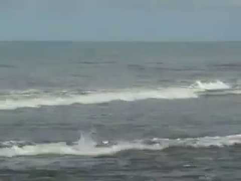 Judul :indang parasaian voc:Ryan produksi Ulak'an record