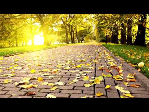 corinhos antigos   Somente os melhores 2018