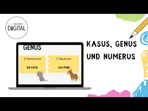 Case, gender and number - quickly explained (including worksheet)