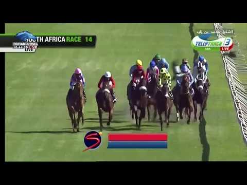 2018.01.06 L'Ormarins Queen's Plate (RSA) - Legal Eagle