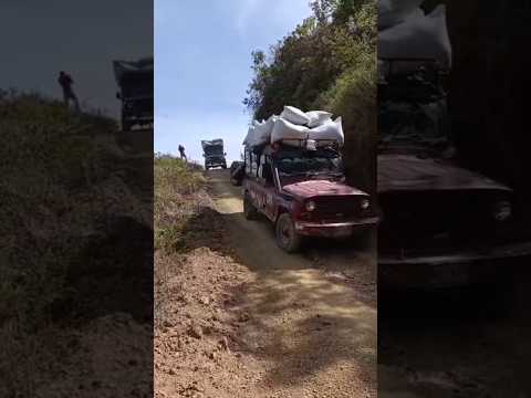 increible como bajan éstos vehículos cargados de café desde aipecito hacia Planadas Tolima #campo