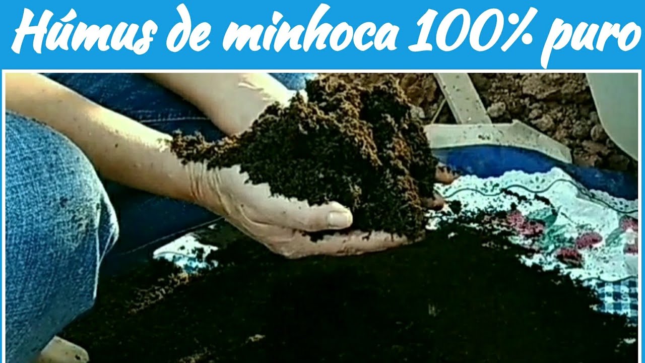 Como fazer húmus de minhoca 100% puro: Ganhe dinheiro sem sair de casa