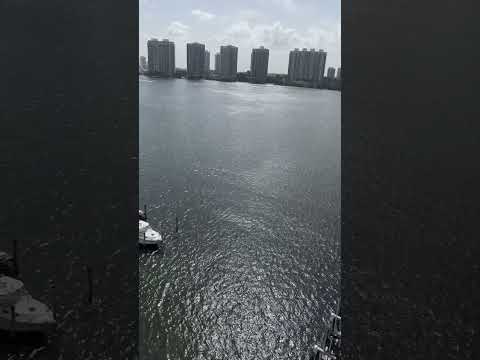 Fyp #viral #viralyoutubevideo #hashtags 🌴🌊🌅♥️🫶