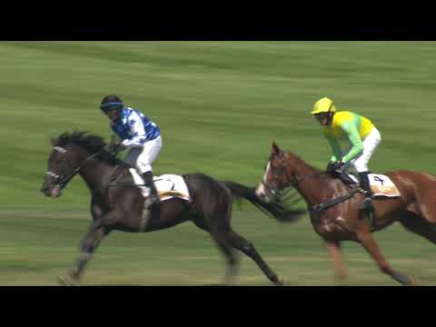 PE, 25. 7. 2020, 2. dostih - Pohár BICZ holding 2020