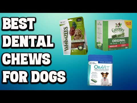 Best Dental Chews for Dogs | Top 5 Dog Dental Chews