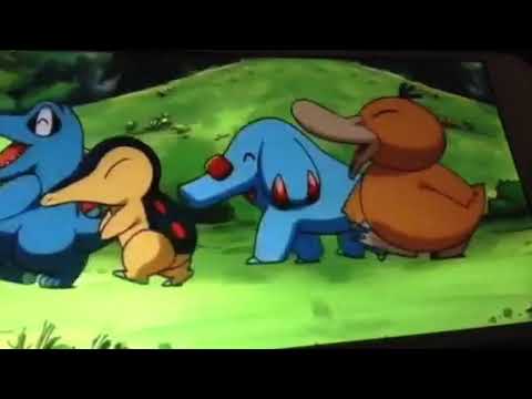 PikaPika Hoshizora Camp Pokémon Hoedown Jim Malone