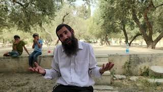 הר הבית - סיפור של אהבה!! פרשת עקב | הרב אלישע וולפסון  (ישיבת הר הבית) - התמונה מוצגת ישירות מתוך אתר האינטרנט יוטיוב. זכויות היוצרים בתמונה שייכות ליוצרה. קישור קרדיט למקור התוכן נמצא בתוך דף הסרטון