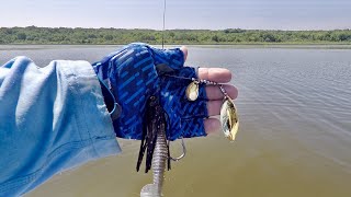 BIG Baits eaquals BIGGER FISH!