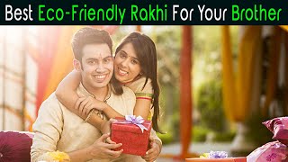 Best Eco-Friendly Rakhi for your Brother | Anuj Ramatri | An EcoFreak