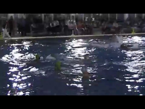 Wp CADETE  Real Canoe - Encinas de Boadilla (2ºcuarto)