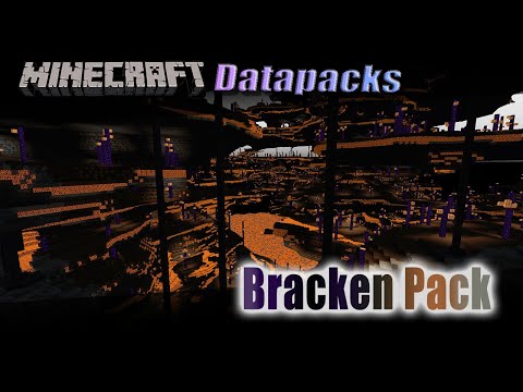[1.16.4 FULL RELEASE] The Bracken Pack: Adds 11 Dimensions, 27 biomes ...