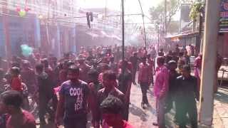 preview picture of video 'Utraula Holi 2014'