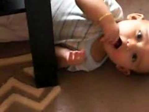 vlera e vogel mjeshter