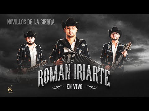 Novillos De La Sierra - Roman Iriarte [Audio Oficial]
