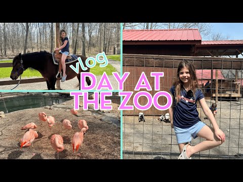 Zoo Day at Living Treasures | New Castle, PA