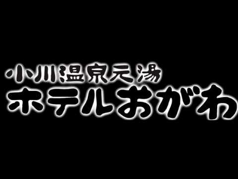 天然温泉掛け流しの宿 ホテルおがわ【公式】富山県小川温泉元湯の旅館