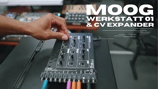 Video thumbnail for Moog Werkstatt-01 Analog Synth & CV Expander Demo by Chuck Levin's Washington Music Center