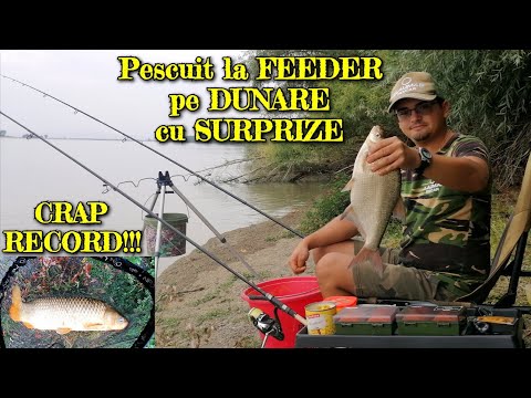 Pescuit la FEEDER pe DUNĂRE cu SURPRIZE - CRAP RECORD prins pe final