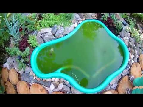 Отдых в Сепыче. Жарим щуку.