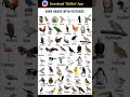 100 BIRD NAMES WITH PICTURES #english #education
