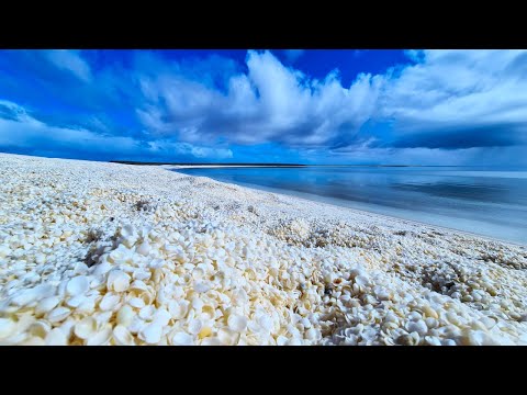 image-Is Shell Beach worth visiting?