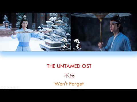 [ENG SUB+PINYIN] THE UNTAMED OST [WON'T FORGET]《陈情令》《不忘》LAN WANGJI'S THEME SONG