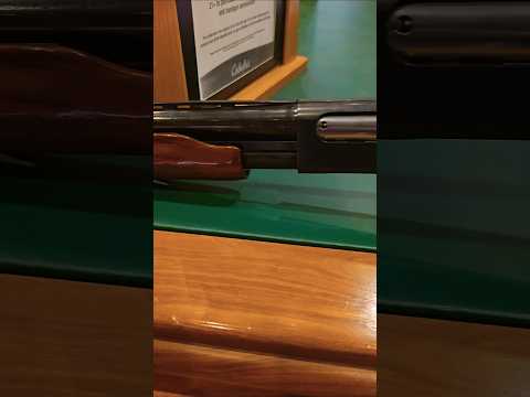 Remington Express Air Rifle | Air Armoury