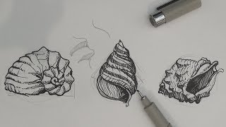 Pen and Ink Drawing Tutorials | How to draw sea shells