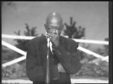 DeFord Bailey - Pan American Blues