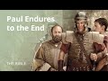 2 Timothy 4 | I Have Kept the Faith: The Apostle Paul Endures to The End | The Bible