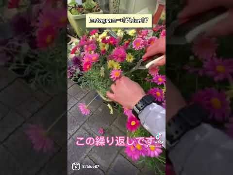 蘭の花を長持ちさせるための適切なケア  庭園