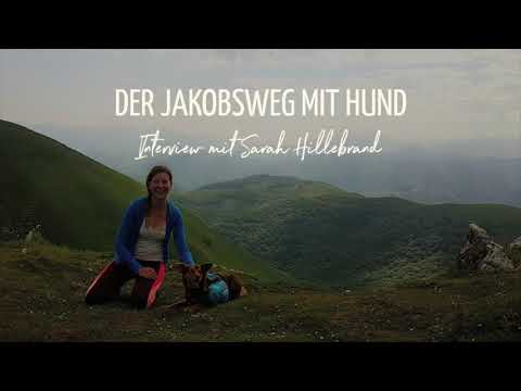 Podcast #21: Der Jakobsweg mit Hund - Interview mit Sarah Hillebrand
