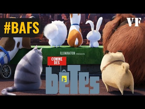 Comme Des Betes - Bande Annonce VF – 2016