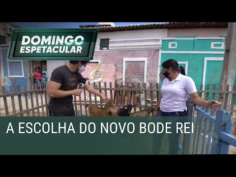 Domingo Espetacular vai até o interior da Paraíba para achar o novo Bode Rei