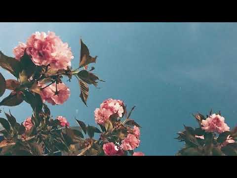 Free "Fall Apart" Post Malone x XXXTentacion Type Beat