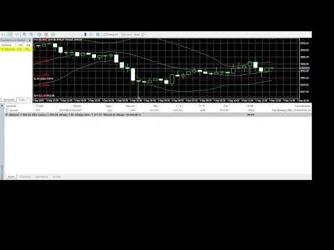 Video Remora Golden Fibonacci Bot Pro