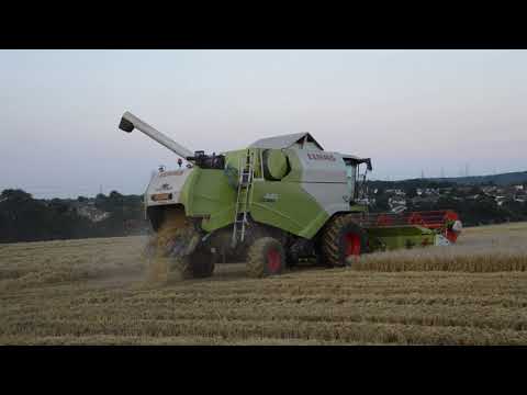 Harvest 2021 - Claas Lexion 630 & Tucano 440 Cutting Barley