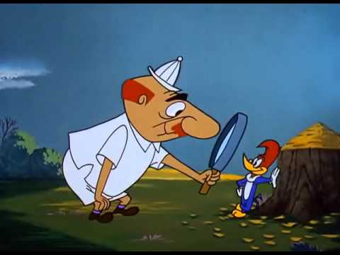 Pera Detlic   Posmatrac ptica