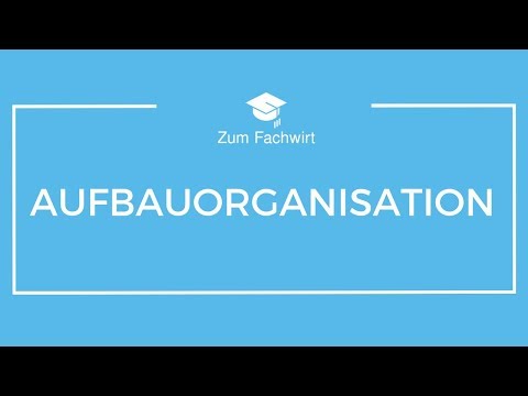 Organizational Structure and Process Organization Part 1 (Everything you need to know!)