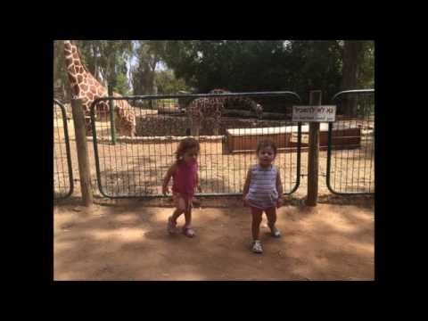 Shay & Tal Surfing Safari